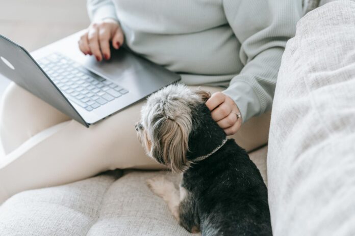 Evalúan los efectos del teletrabajo antes de la pandemia